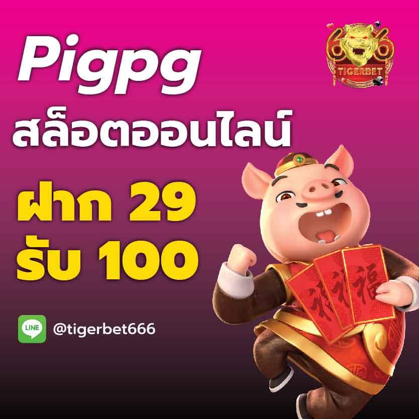pigpg-สล็อตออนไลน์