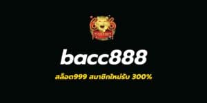 Bacc8888