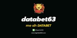 databet63