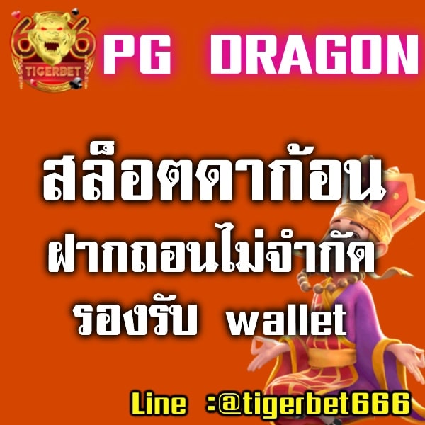 pg-dragon-สล็อตดาก้อน
